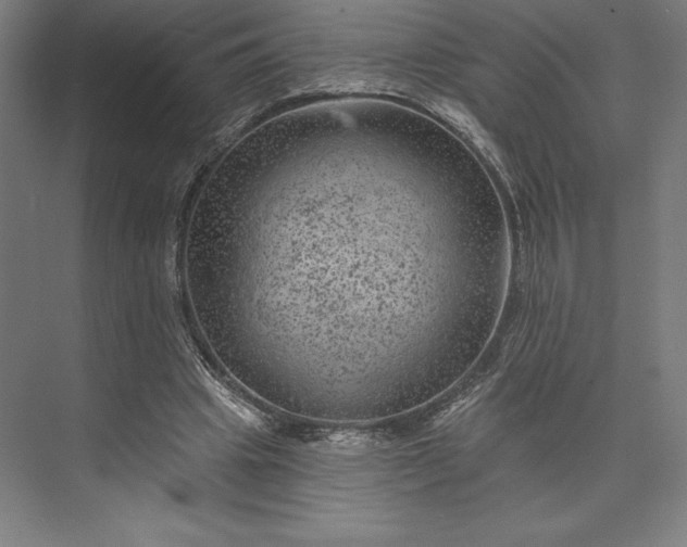 X0000074040441200609061212