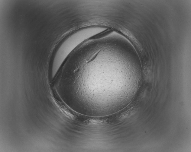 X0000074040442200609061212