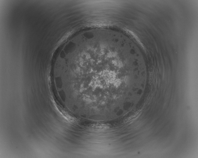 X0000074040443200609061212