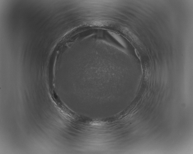 X0000074040444200609061212