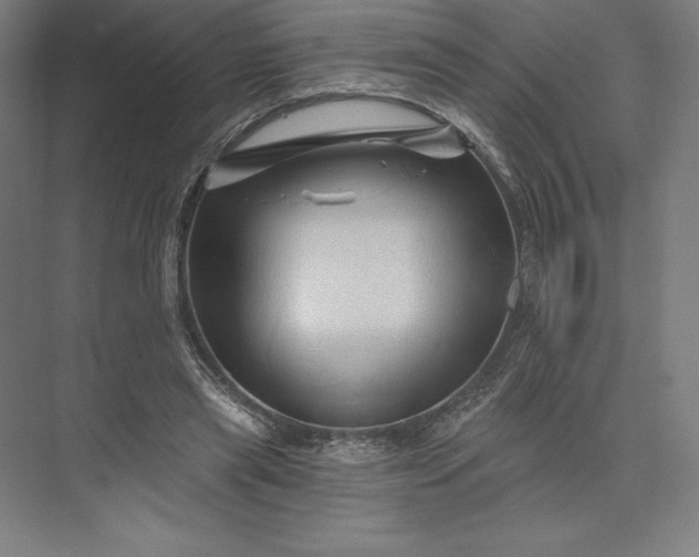 X0000074040445200609061212