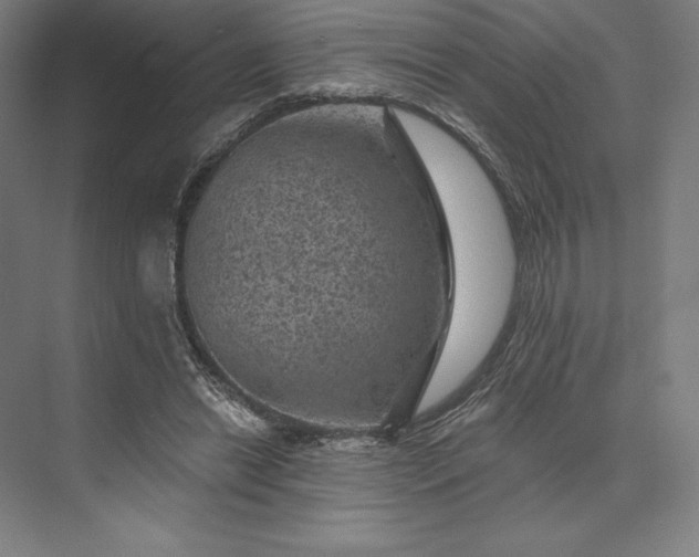 X0000074040446200609061212