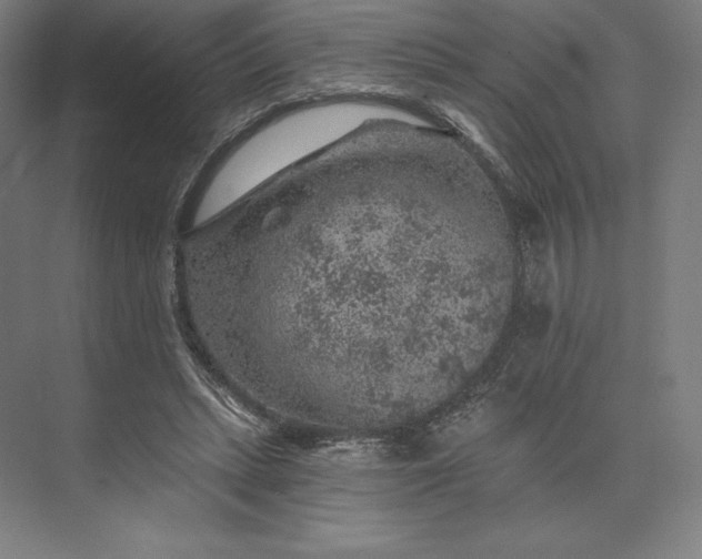 X0000074040447200609061212