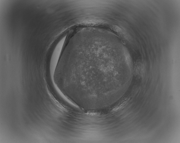 X0000074040448200609061212