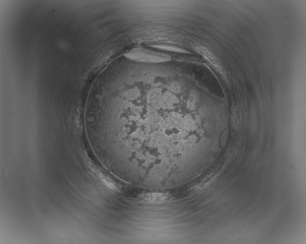 X0000074040449200609061212