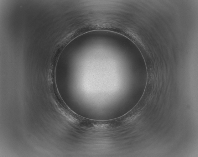 X0000074040450200609061212