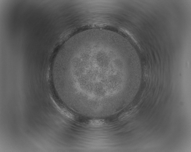 X0000074040451200609061212