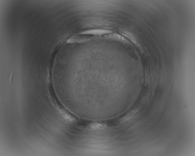 X0000074040453200609061212