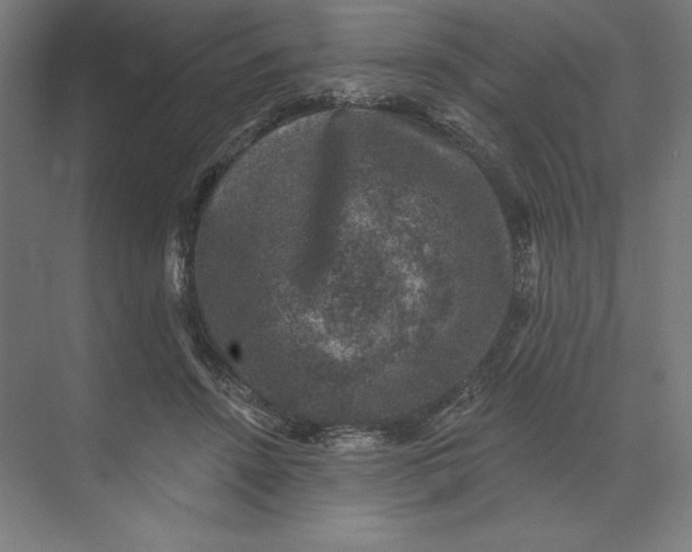 X0000074040456200609061212