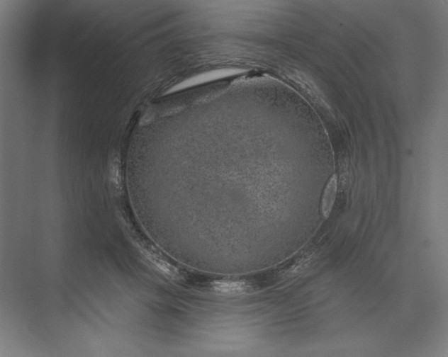 X0000074040457200609061212