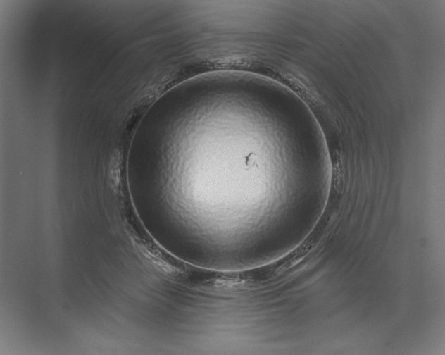 X0000074040458200609061212