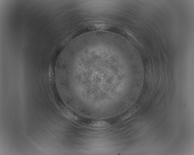 X0000074040459200609061212