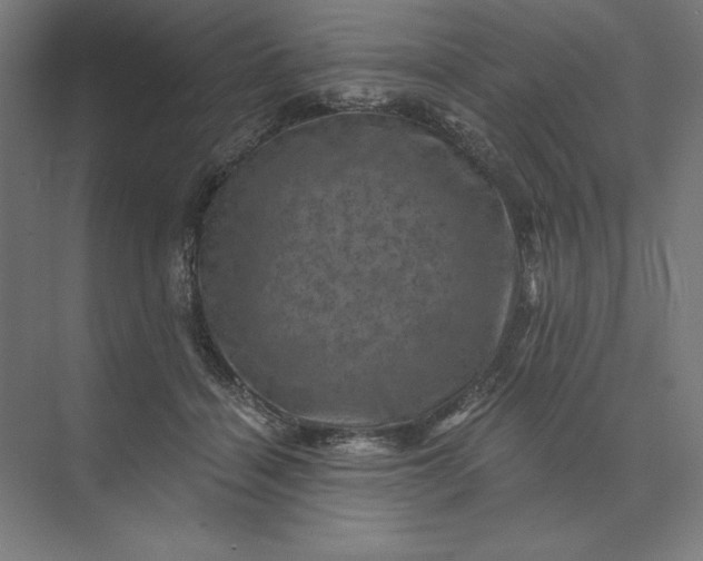 X0000074040460200609061212