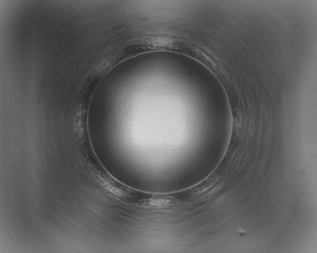 X0000074040462200609061212