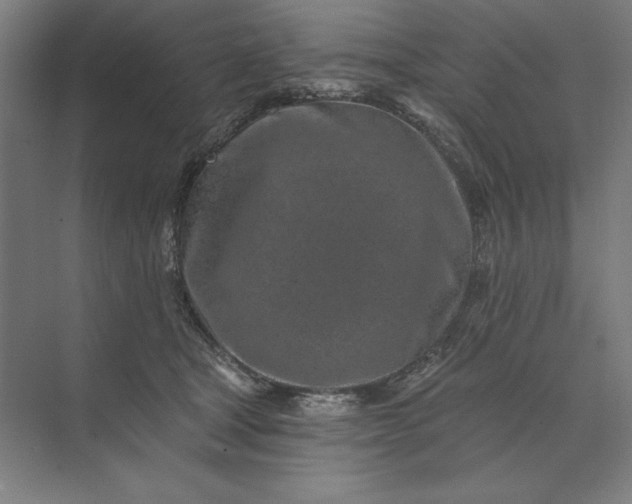 X0000074040465200609061212