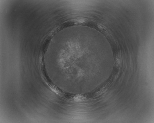 X0000074040468200609061212