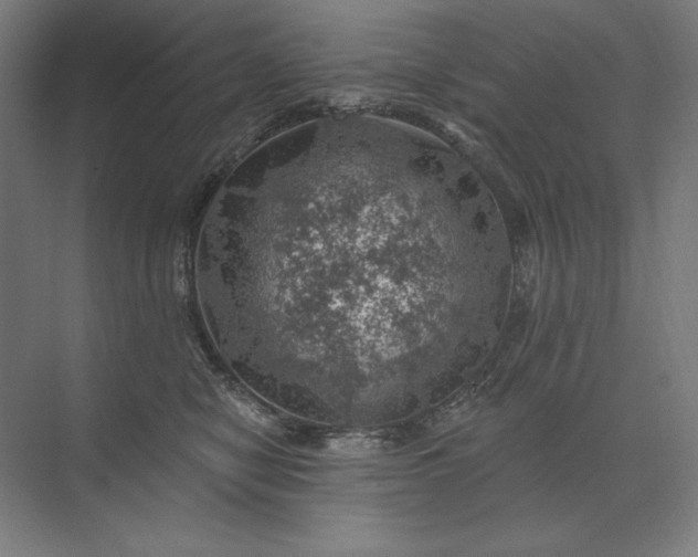 X0000074040470200609061212