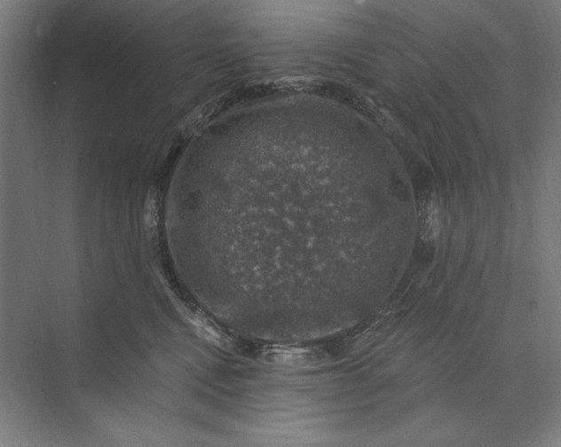 X0000074040472200609061212