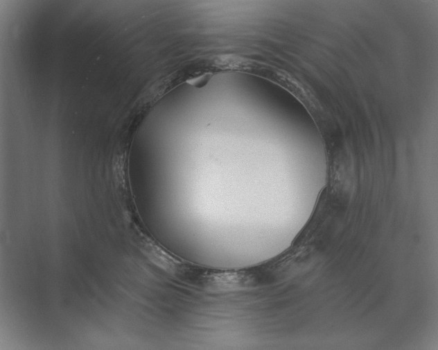 X0000074040473200609061212