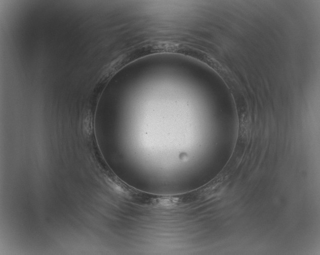 X0000074040474200609061212