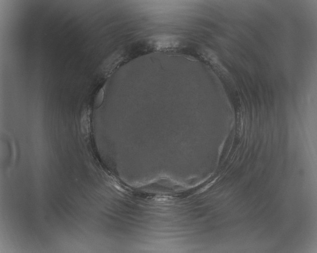 X0000074040475200609061212