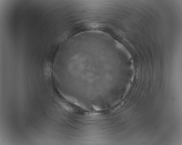 X0000074040476200609061212