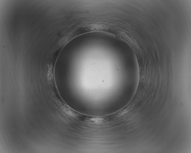 X0000074040478200609061212