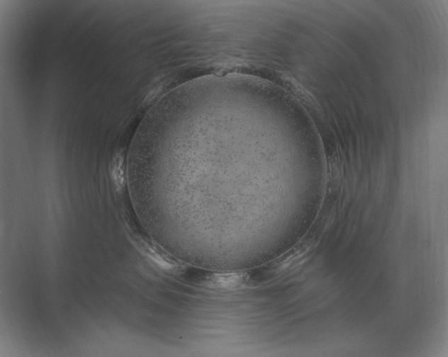 X0000074040479200609061212