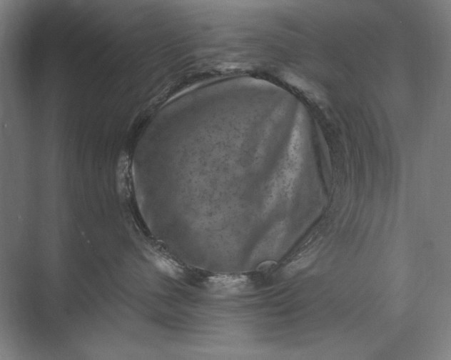 X0000074040480200609061212