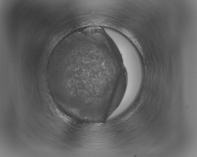 X0000074040481200609061211