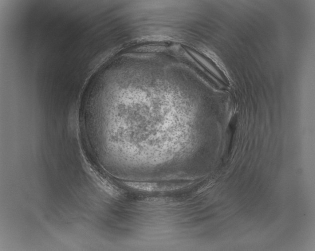 X0000074040482200609061211