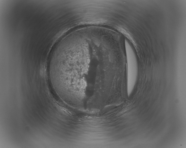 X0000074040483200609061211