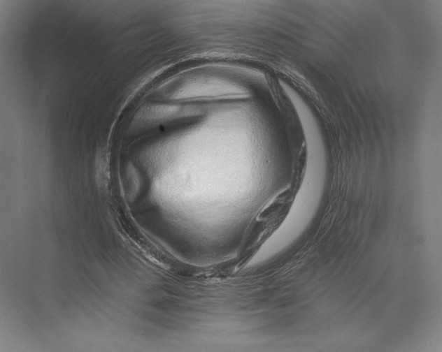 X0000074040484200609061211