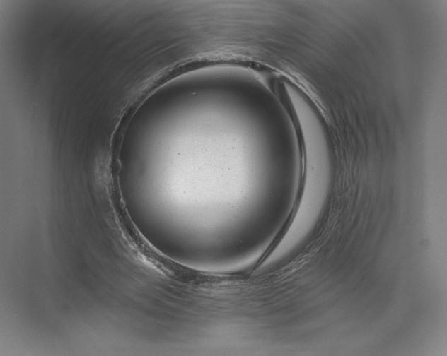 X0000074040485200609061211