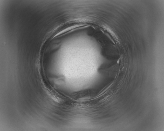 X0000074040486200609061211