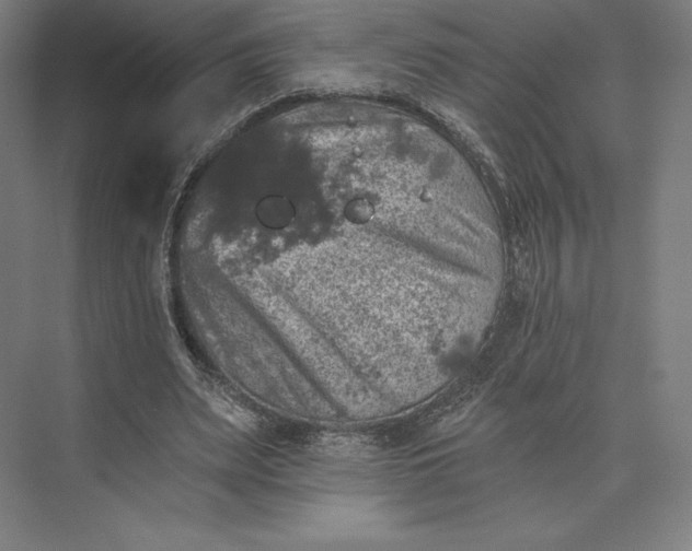 X0000074040487200609061211