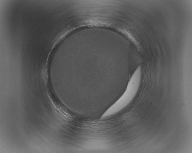 X0000074040488200609061211