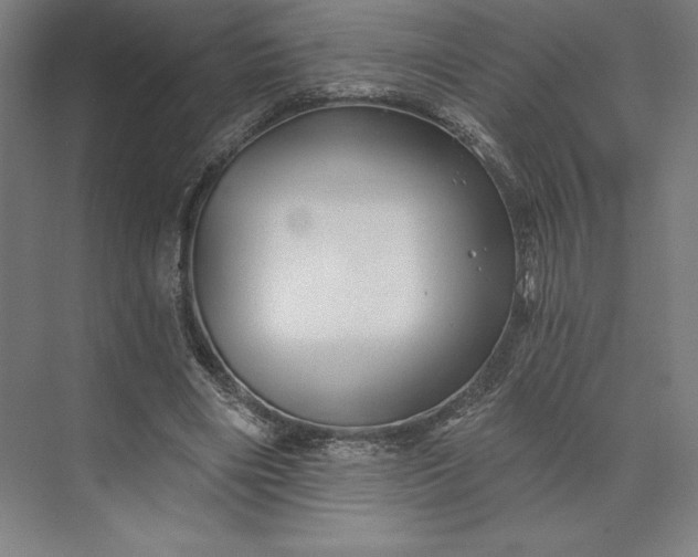 X0000074040490200609061211