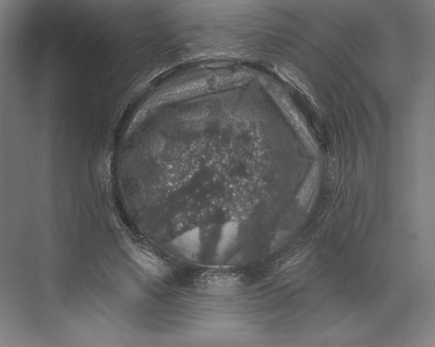 X0000074040491200609061211