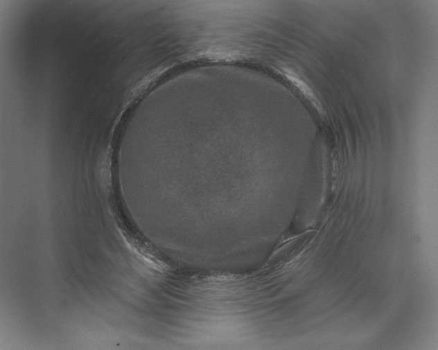 X0000074040492200609061211