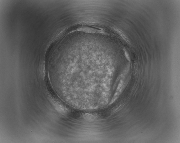 X0000074040494200609061211