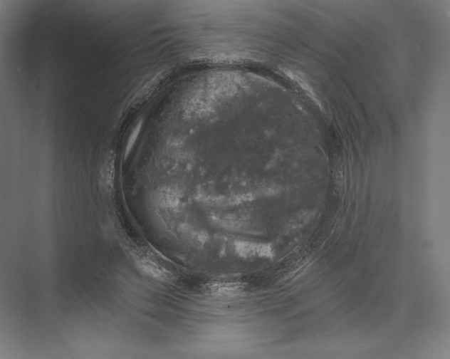 X0000074040495200609061211