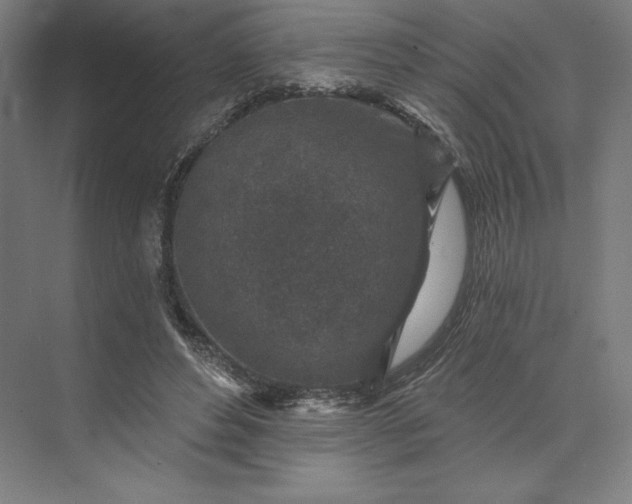 X0000074040496200609061211