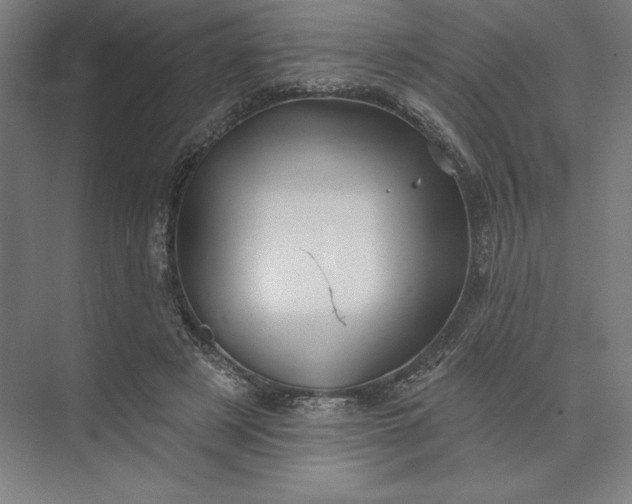 X0000074040497200609061211