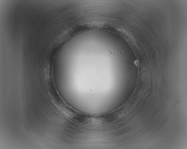 X0000074040498200609061211