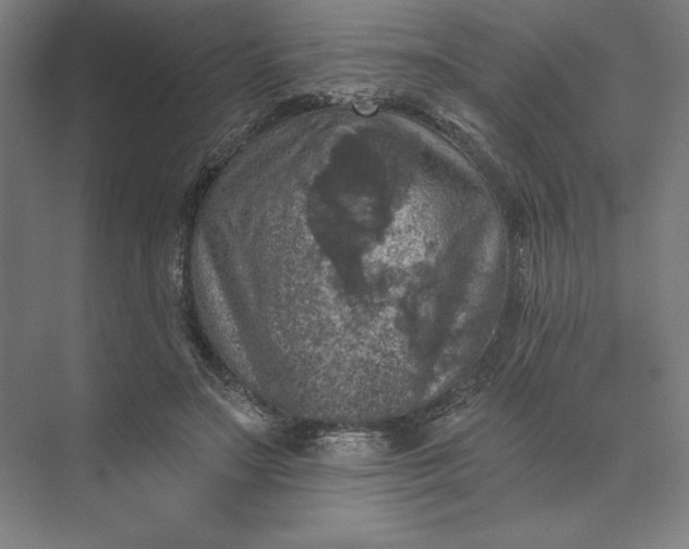 X0000074040499200609061211