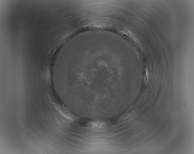 X0000074040500200609061211