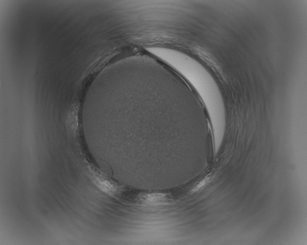 X0000074040501200609061211