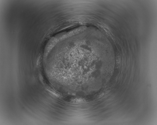 X0000074040503200609061211