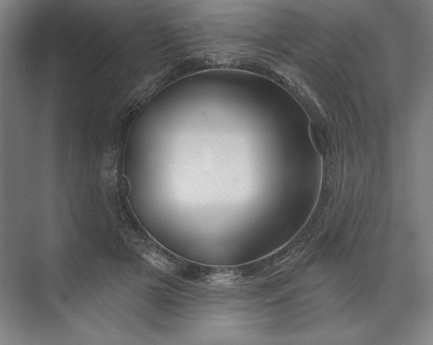 X0000074040505200609061211